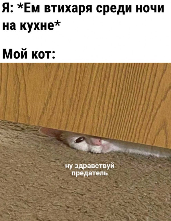 Картинки и мемы для настроения - 19