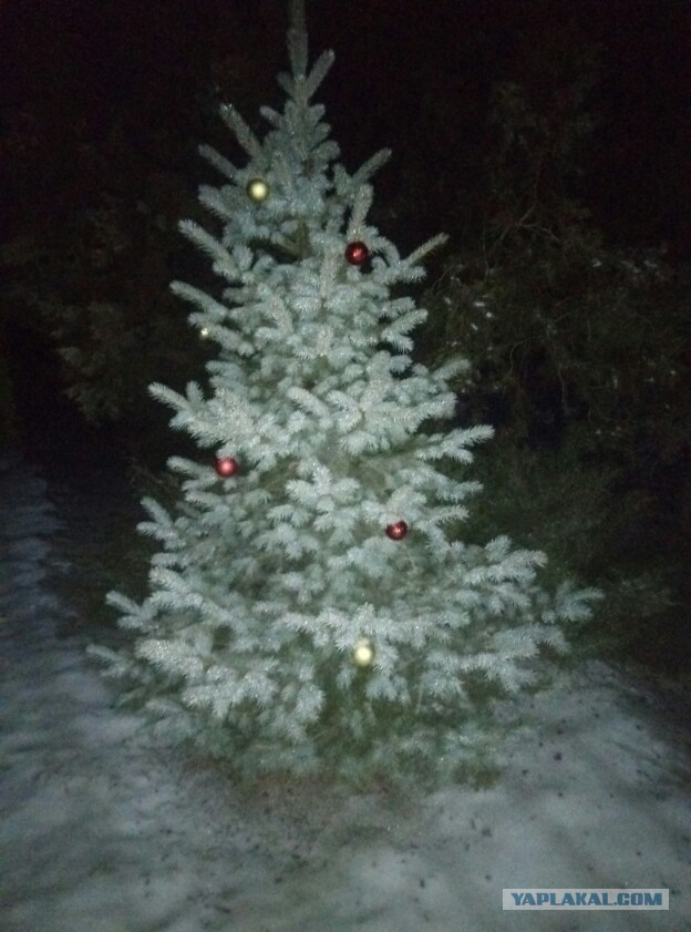 Выкладывайте свои елки!
