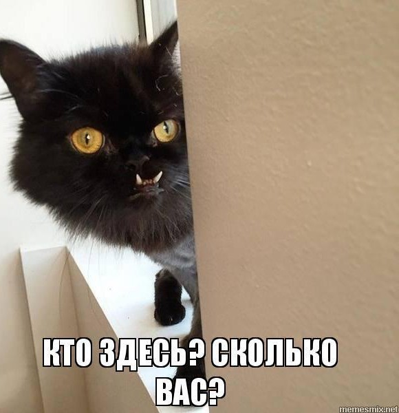 Сегодня отмечается Всемирный день шизофрении