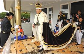 Mustela erminea, Горностай домашний