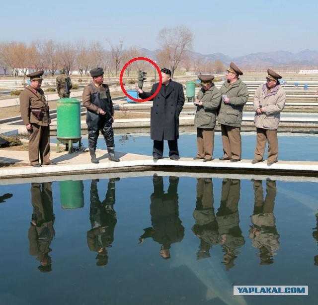 Товарищ Ким Чен Ын