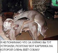 Ем круасан, как вдруг....