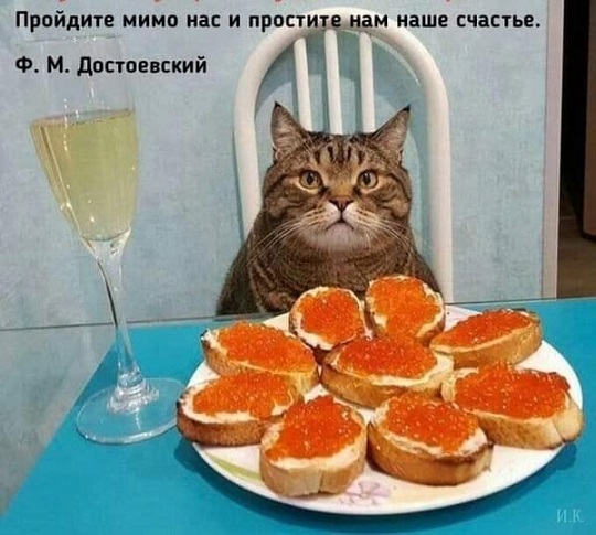 У меня муж дома