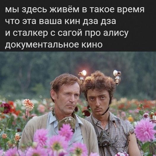 Так себе картинки 30.06.25