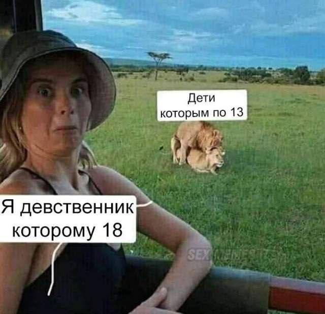 Веселые картинки во вторник (29.07)
