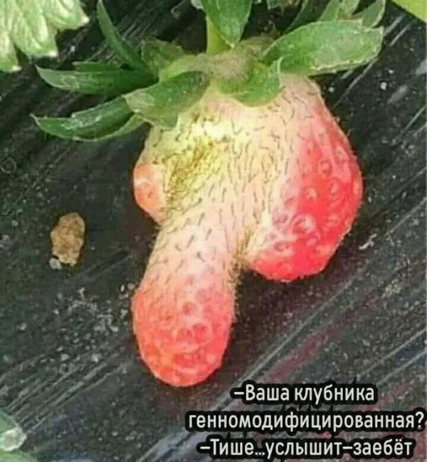 Понедельник всегда внезапен