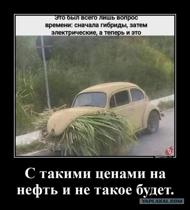 Картинки для деградации 170 (разной степени свежести)