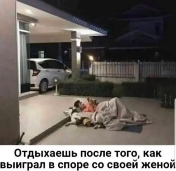 Так себе картинки 22.08.26