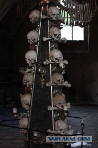 Церковь из костей (14 фото)
