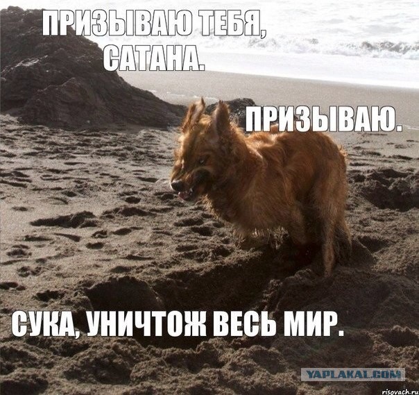 Щенки вызывают сатану
