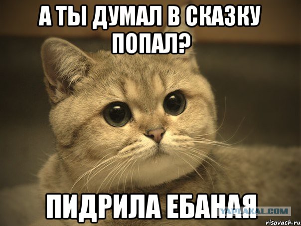 В Хабаровске сотрудник полиции застрелил дебошира