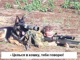 Мариуполь перестрелка, батальон Азов и...