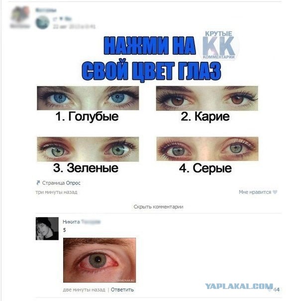 Смешные комментарии из социальных сетей