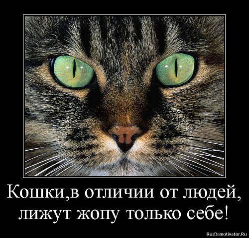 Путин нащупал ахиллесову пяту Запада