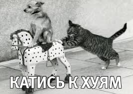 Киев передумал покидать СНГ