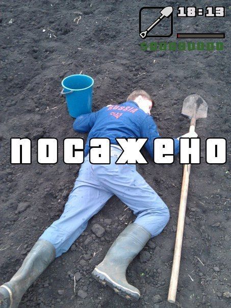 Прикольные картинки из сети