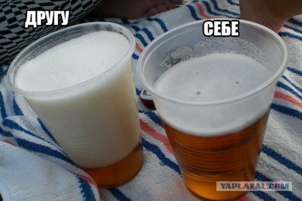 Подборка веселостей из сети