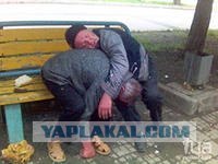 Толя еще будет!