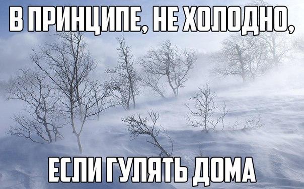 Подборка прикольных картинок
