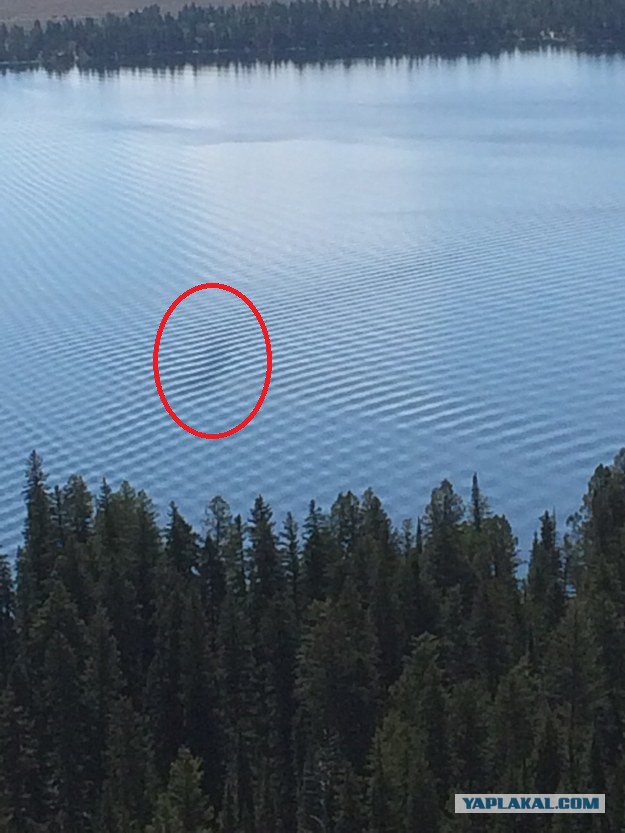 Перфекционизм в жизни