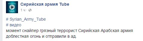 Снайпер САА отработал боевика