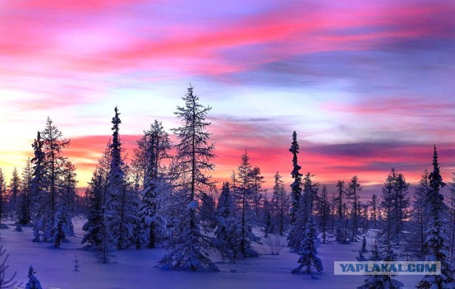 Подборка интересных и веселых фото