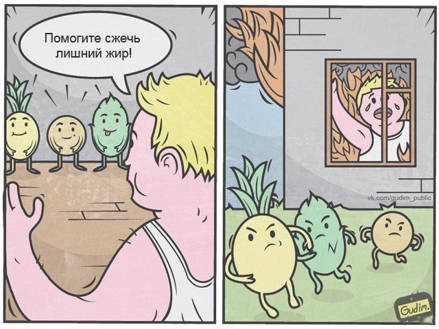 Как реагирует организм на ежедневные занятия спортом