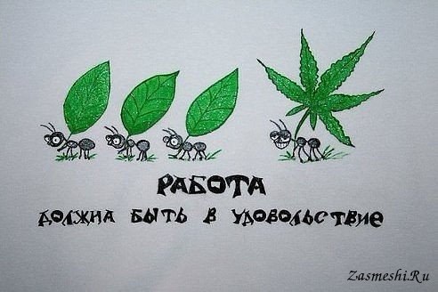 Доза раскумара на новую неделю
