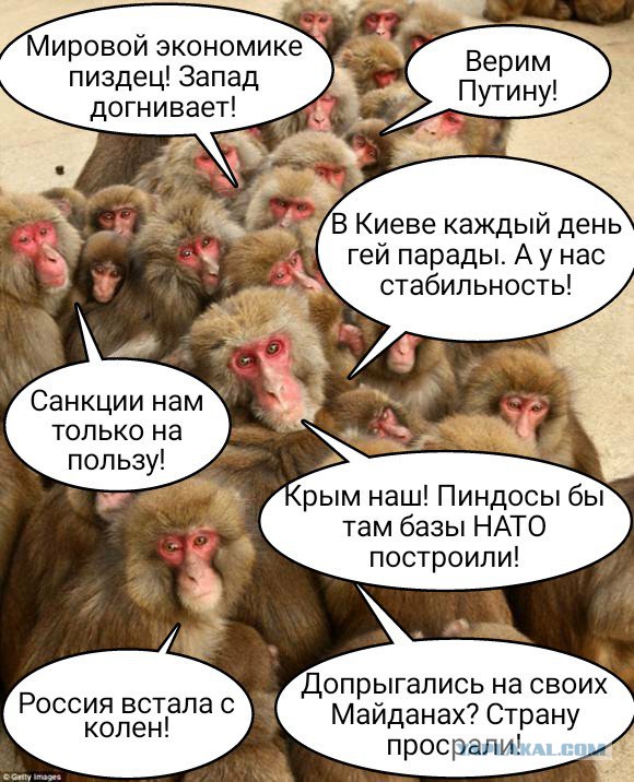 Число не одобряющих продуктовые санкции россиян выросло почти втрое