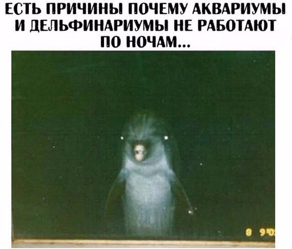 Смешные картинки из сети