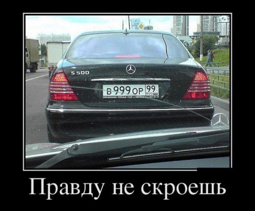 Немного картинок