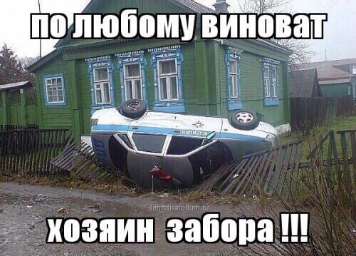 Подборка фот и картинок