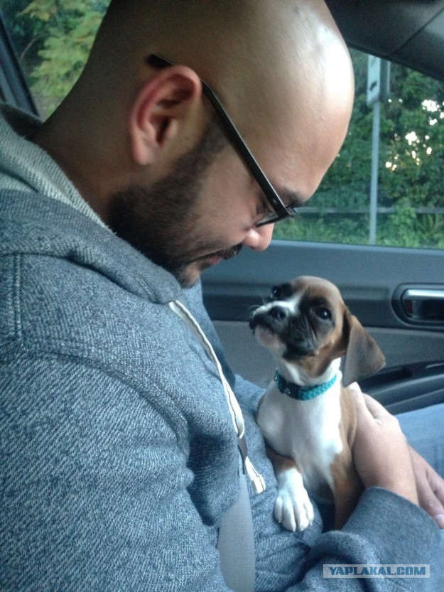 30 снимков, которые помогут улыбнуться даже в самый ненастный день