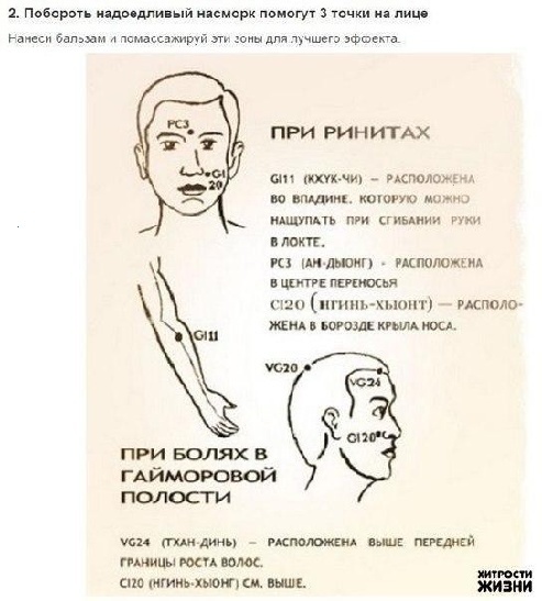 Полезные свойства бальзама "Звёздочка"