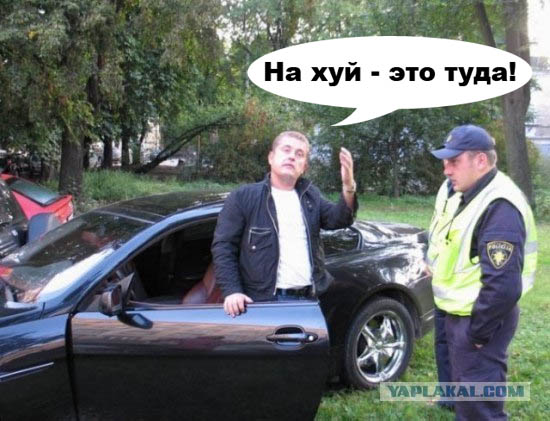 Очень неторопливая авария