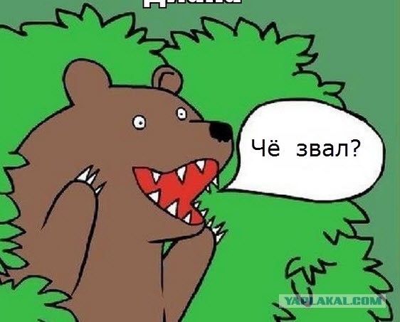 Какими звуками подзывают кошек в странах мира?