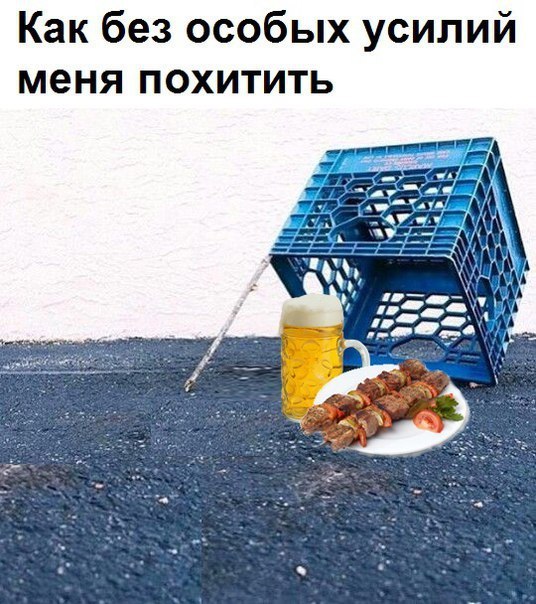 Как поймать кота