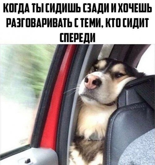 Прикольные картинки абавсём