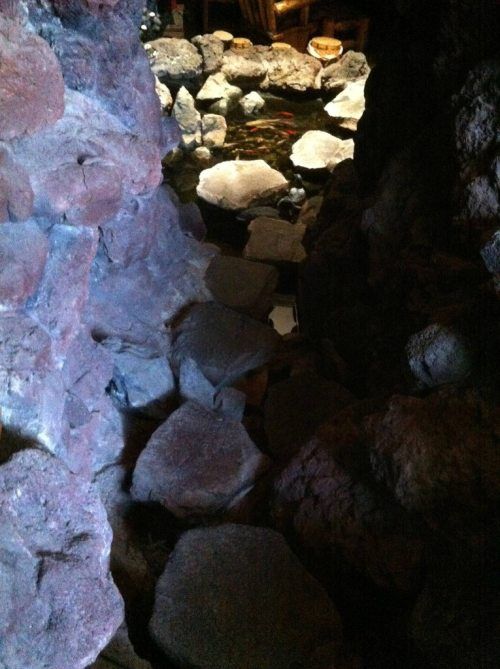 Тихий пруд... внутри дома!