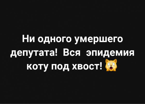 Немного картинок для настроения 29.04.20