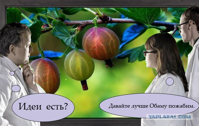 Фотожаба: Что увидели врачи?