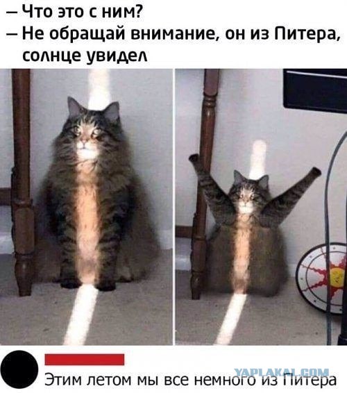 Опасности интернет знакомств