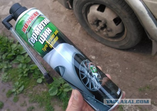 Мстительные дамы и их деяния