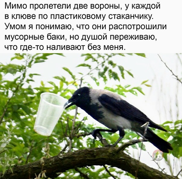 Картинки и мемы для настроения