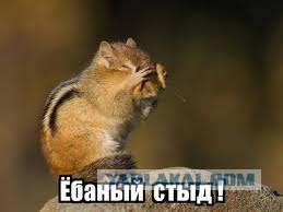 ДТП на Пулковском шоссе