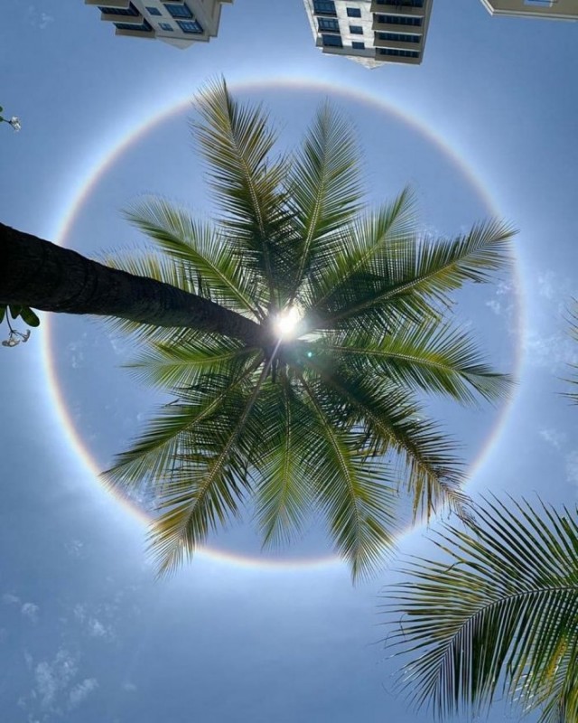 Картинки и мемы для настроения 05.08.2021