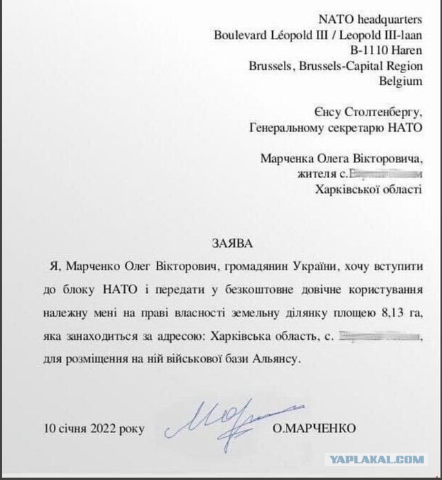 НАТО в огороде