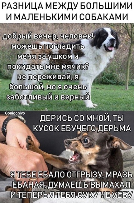 Подборка картинок всяческих 09.02.2022