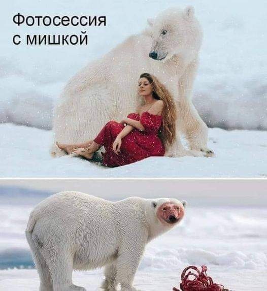 Баянисто-небаянистый юмор 28.03.22