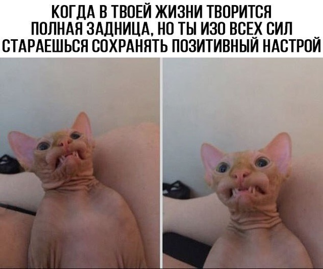 Чернуха на среду!